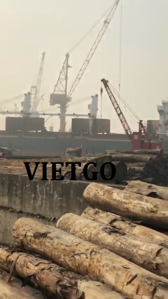 xuat-khau-go-bach-dan-vietgo